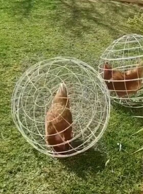 圆形兔笼农场景区网红走地鸡笼子新裁可滚动防护笼塑料球形鸡笼