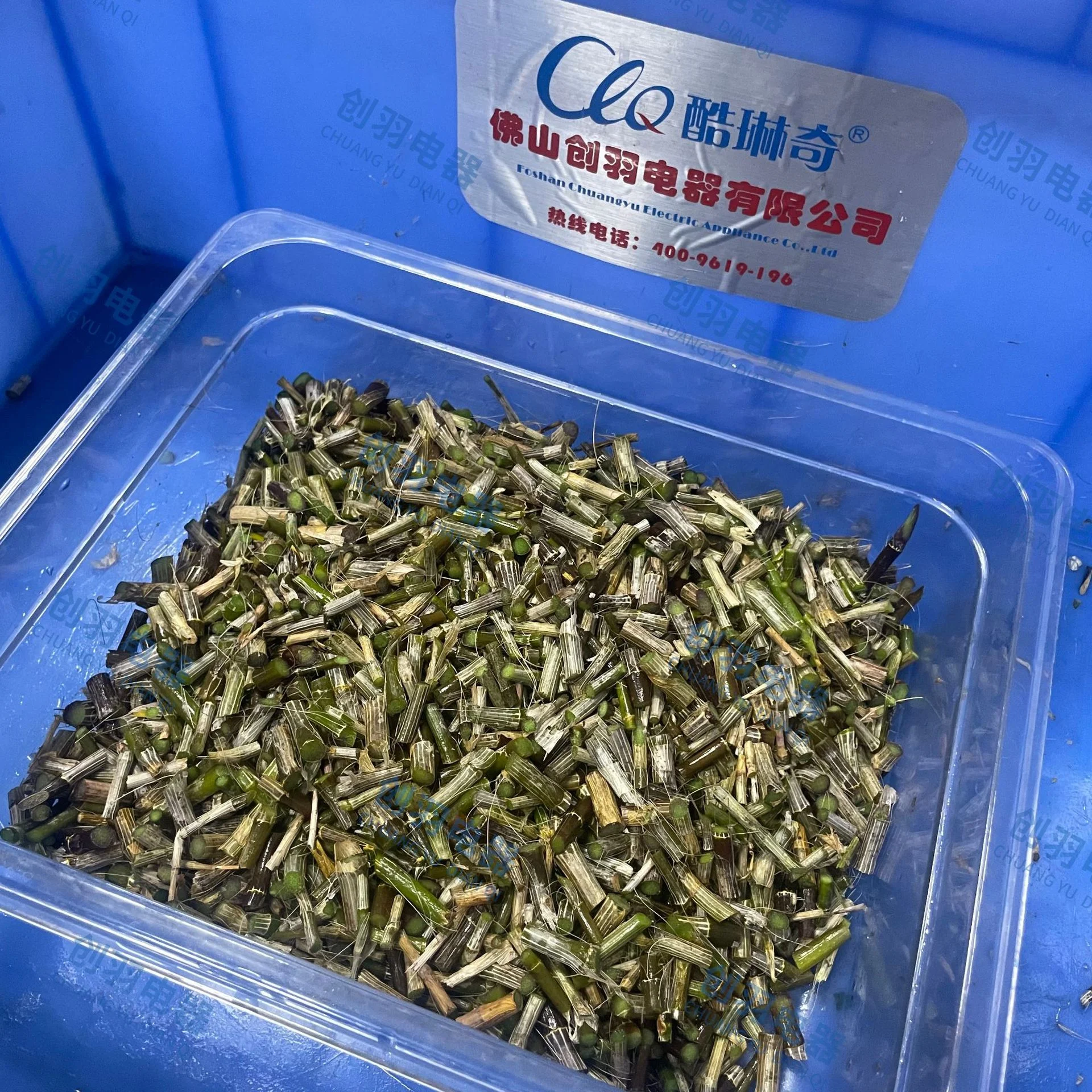 CLQ酷琳奇大型铁皮石斛切段机洗果机/洗菜机
