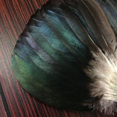 真鸳鸯羽毛扇子乌木柄诸葛孔明中国风高档夏季纳凉手工真鹅毛扇子