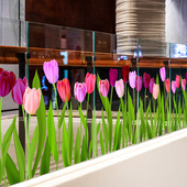 春天郁金香花纹底纹创意静电玻璃贴膜商场酒店展厅玻璃栏杆美化贴