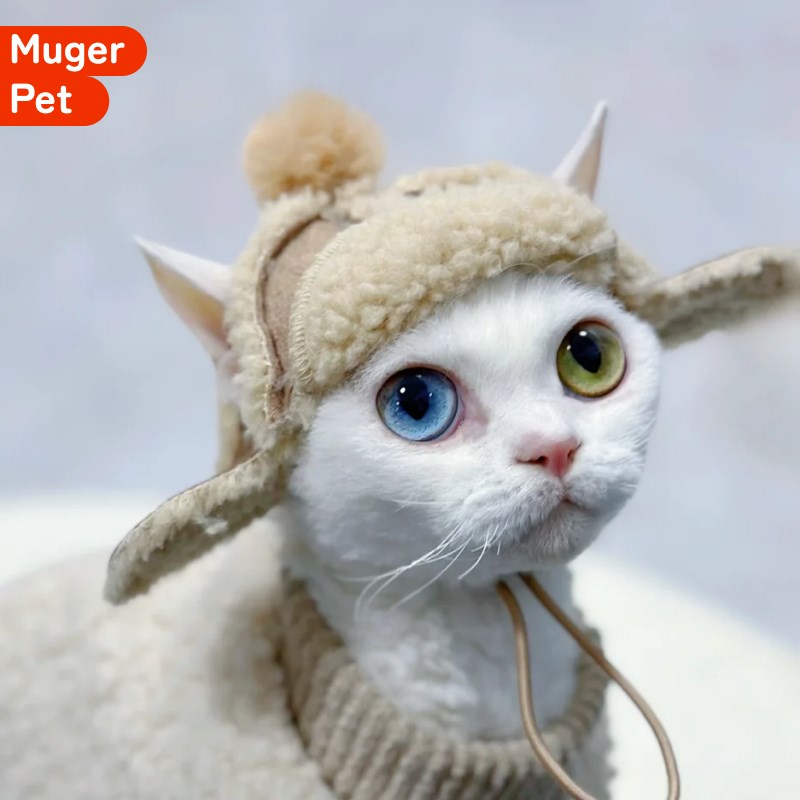 猫咪飞行员帽子头套小猫狗狗头饰露耳朵冬天德文猫冬季新年宠物帽