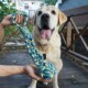 宠物狗绳结玩具棉绳互动大狗磨牙耐咬拉布拉多哈士奇大型犬解闷