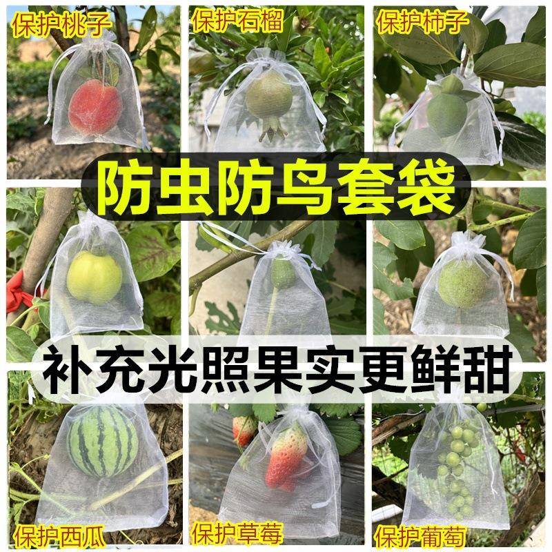 果树防虫防鸟专用纱网套