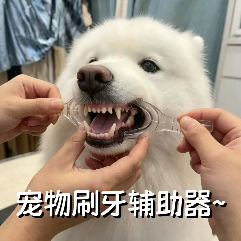 宠物刷牙辅助器猫狗口腔清洁神器