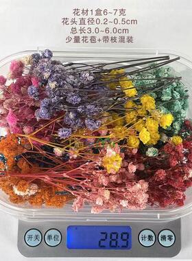 摆件干花拍摄道具满天星ins装饰