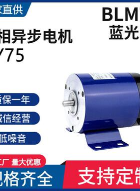 交流单相电容运转异步电机75W2800rpm2极全铜线微型电动机YY系列