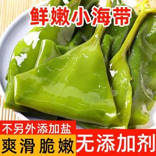 盐渍新鲜小海带5斤鲜嫩海带丝苗火锅商用薄非干货麻辣烫火锅食材