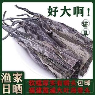 50公分长海带头干货霞浦特厚海带根梗凉拌酸辣沙日晒