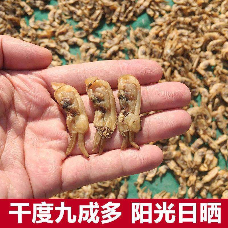 【顺丰包邮】福建蛏子干蛏子海蛏子竹节蛏海鲜水产干货野生,水产肉类/新鲜蔬果/熟食,贝类制品,淘宝优惠券,粉丝福利购,淘宝优惠卷