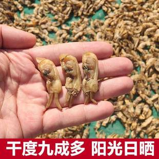 【顺丰包邮】福建蛏子干蛏子海蛏子竹节蛏海鲜水产干货野生