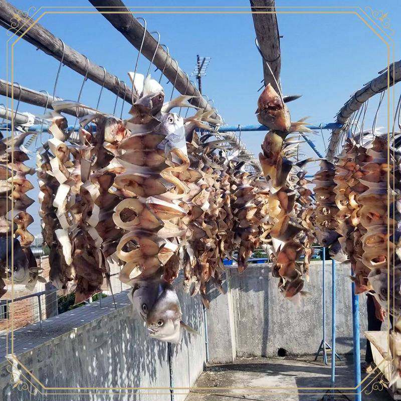 §海产品金鲳鱼鱼干鲳鱼链金昌鱼咸鱼干 淡盐风干 特大条 湛江特,水产肉类/新鲜蔬果/熟食,淡水鱼类,淘宝优惠券,粉丝福利购,淘宝优惠卷