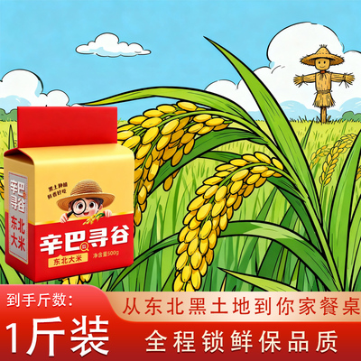 2025年新米上市东北大米1斤小袋真空装新日期厂家直销500g