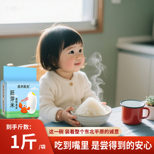 2025年新米东北胚芽米1斤煮粥真空包装 软糯香甜颗粒饱满500g