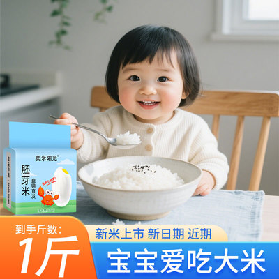 2025年新米东北胚芽米1斤煮粥真空包装软糯香甜颗粒饱满500g