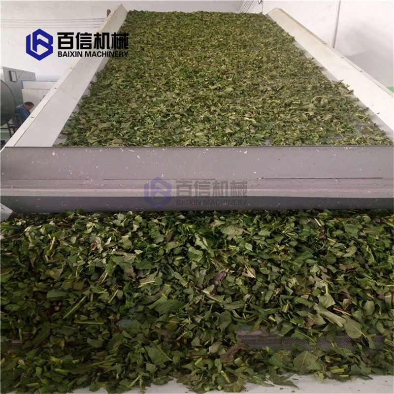 月桂叶烘干机  多层月桂干燥机  香叶桂叶带式烘干设备