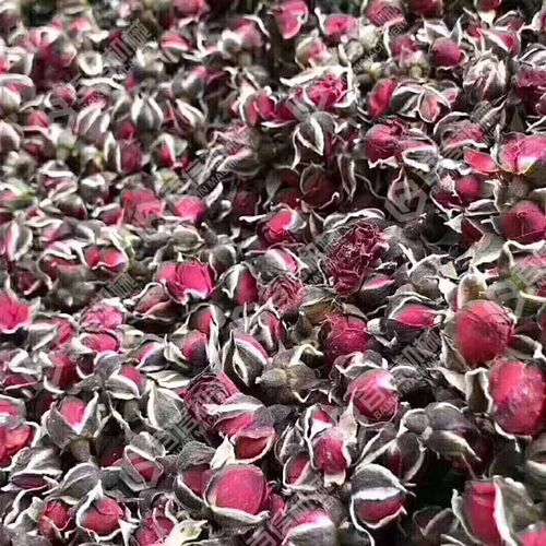 网带式玫瑰花烘干机 多层连续式玫瑰花干燥机 花茶烘干设备