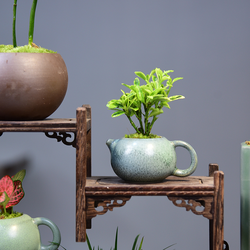 创意博古架七件套六月雪盆栽菖蒲植物客厅桌面陶瓷小盆景摆件好养