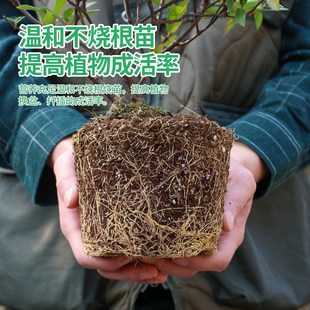 沃思林轻质营养土养花种菜通用型思威博泥炭土花卉盆栽专用种植土