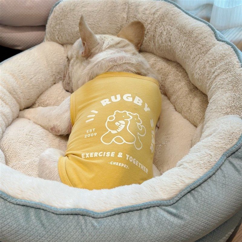 深度睡眠挡风毛绒加厚四季狗窝猫窝宠物沙发保暖猫咪狗牀软窝法斗,宠物/宠物食品及用品,狗窝/屋/帐篷/沙发,淘宝优惠券,粉丝福利购,淘宝优惠卷