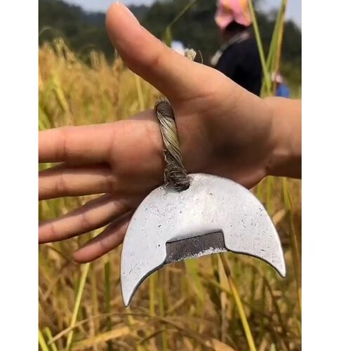 贵州农家折禾工具折禾刀收香禾糯米刀具农家自留农活割香禾糯网红