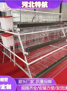 阶梯蛋鸡笼A型镀锌丝鸡笼立式养鸡设备鸡舍多层鸡窝加粗鸡笼底网