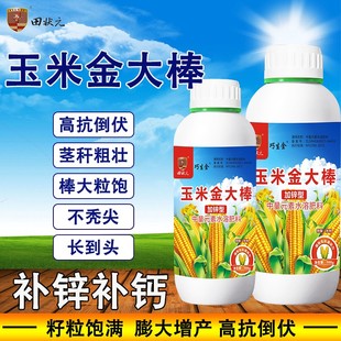 玉米金大棒玉米1号高抗倒伏籽粒饱满茎杆矮壮补锌钙不秃尖叶面肥