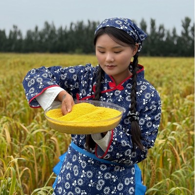 航航妈专属2025年内蒙敖汉旗优质农家新米