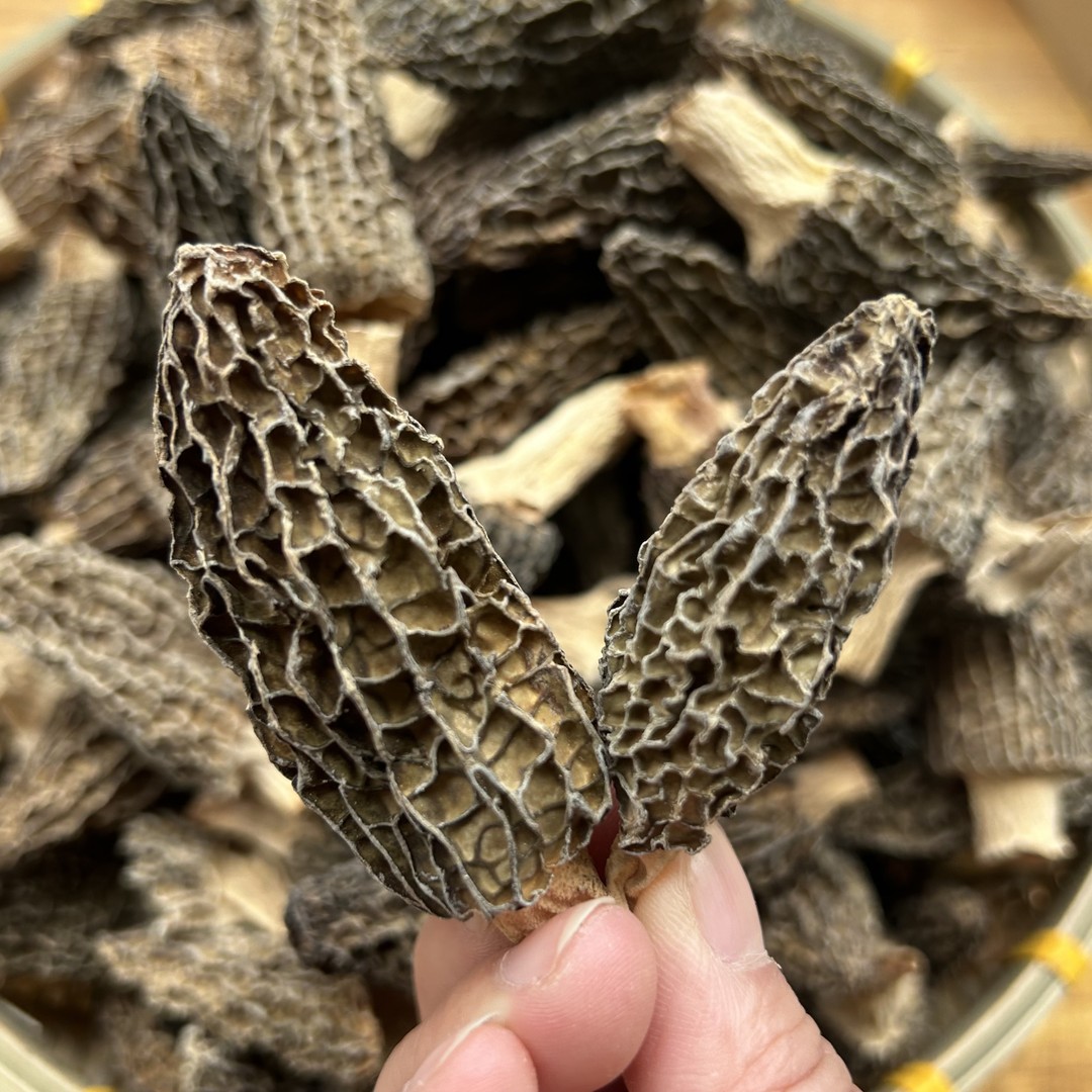 2025年5-8cm头茬手工挑选自然晾晒老少皆宜煲汤羊肚菌（坏菌包赔