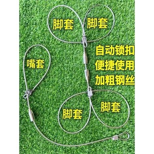 (野猪不能用)钢丝绳套猪器套猪嘴神器猪嘴套捕猪拉猪神器助产绳