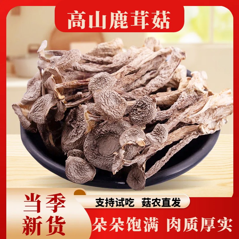 【高山鹿茸菇】菇农直发500g自然晾晒干货炒菜煲汤鲜嫩 脱水蔬菜