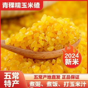 【青稞玉米碴】当季新米东北黏碴子（熟玉米碴）新鲜粗粮yw