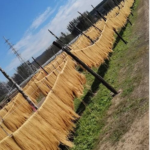 沂蒙山特产红薯粉条传统工艺新配方无胶1号支持免费试吃