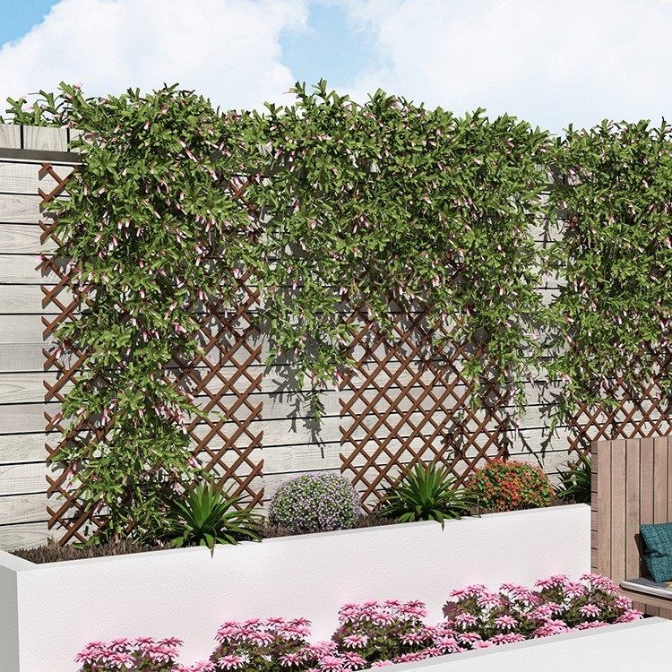 户外防腐木栅栏伸缩实木拉网月季葡萄爬藤架阳台墙面装饰网格,鲜花速递/花卉仿真/绿植园艺,栅栏,淘宝优惠券,粉丝福利购,淘宝优惠卷