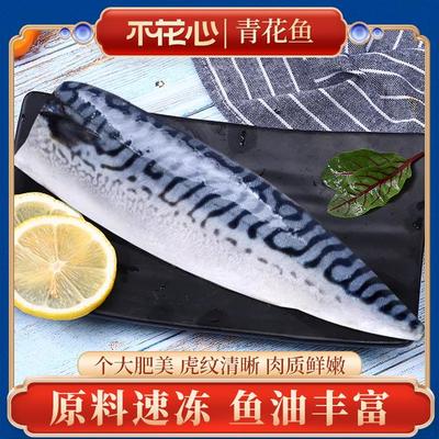 不花心挪威精品进口鲭鱼240g*3包青花鱼香煎新鲜整条鲜切鲜嫩美味