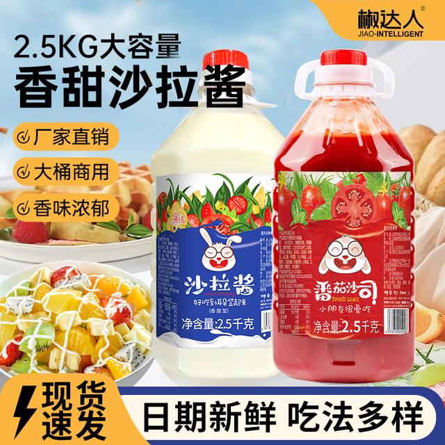 5斤装大桶番茄酱沙拉酱甜辣酱送挤压瓶商用桶装蔬菜汉堡寿司