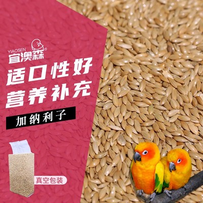 加纳利子鹦鹉鸟食鳥粮白尖栗鸟粮虎皮牡丹太阳鸽子粮食用品混合粮