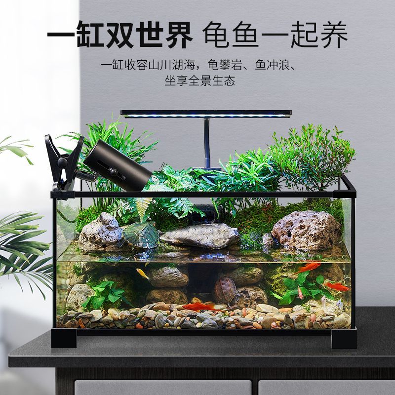乌龟缸高清玻璃生态造景龟鱼缸一体混养生态缸客厅专用家用饲养缸