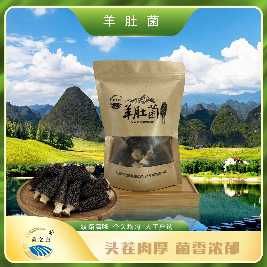 【菌之归】大山里干羊肚菌50g*1/袋5-7公分煲汤鲜美干货羊肚菌
