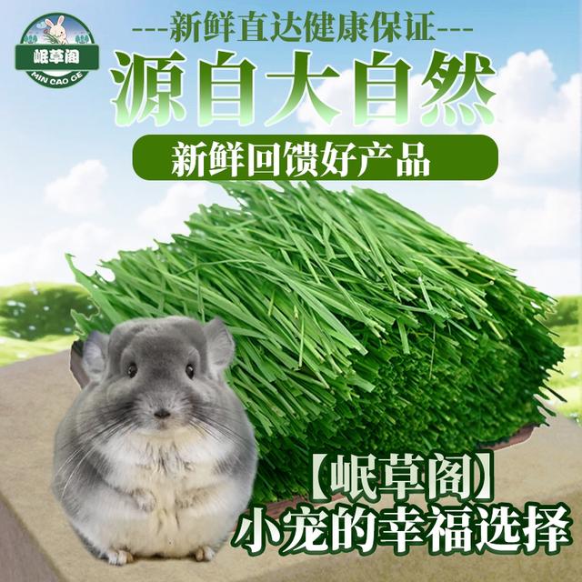 【精品烘干无穗】24年烘干提摩西草北提兔兔荷兰猪龙猫饲料兔粮干