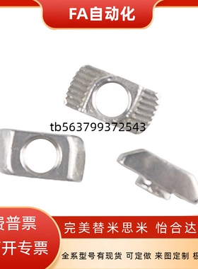 国标T型螺母30/40铝型材T型滑块螺 AHC21/23-G306/G408-M4/M5/M6