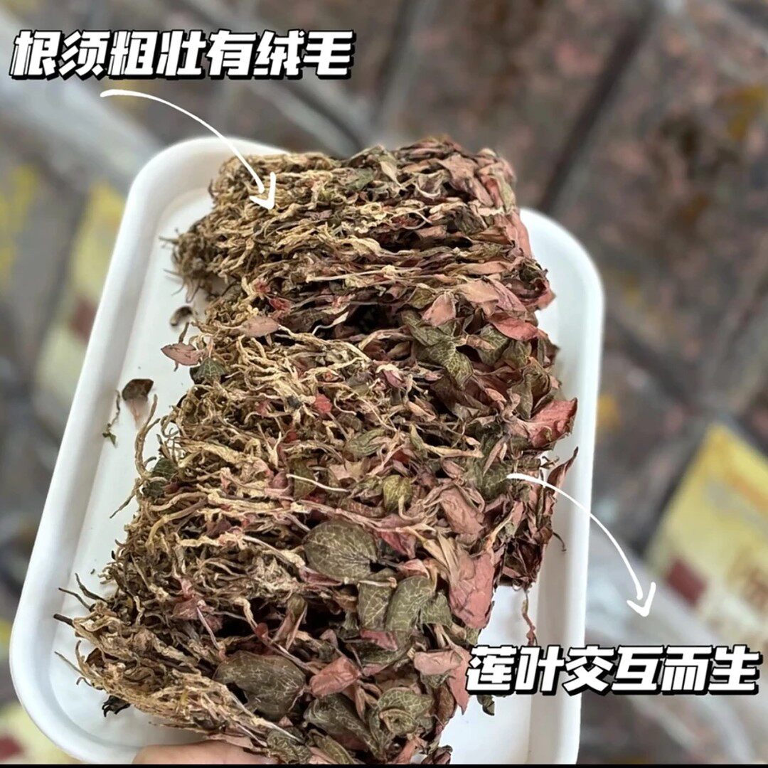 恒昌精选金线莲价250g500g起拍脱水蔬菜