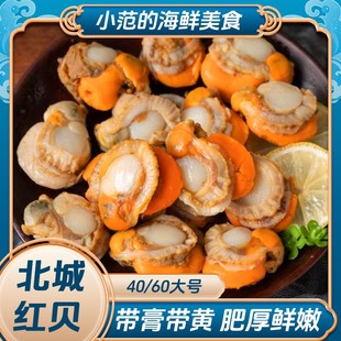 共15包 60扇贝肉 新鲜熟冻 150g 无泥无沙 买10包送5包小范