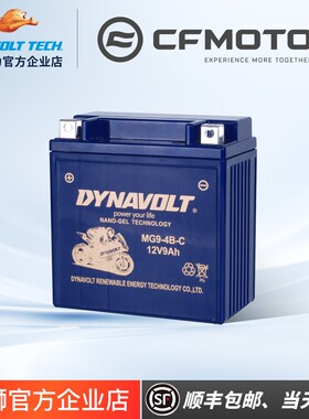 春风ST狒狒150NK250NKSR400NKGT650NK/MT国宾700CLX800MT猛狮电瓶