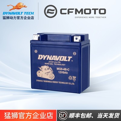 春风ST狒狒150NK250NKSR400NKGT650NK/MT国宾700CLX800MT猛狮电瓶