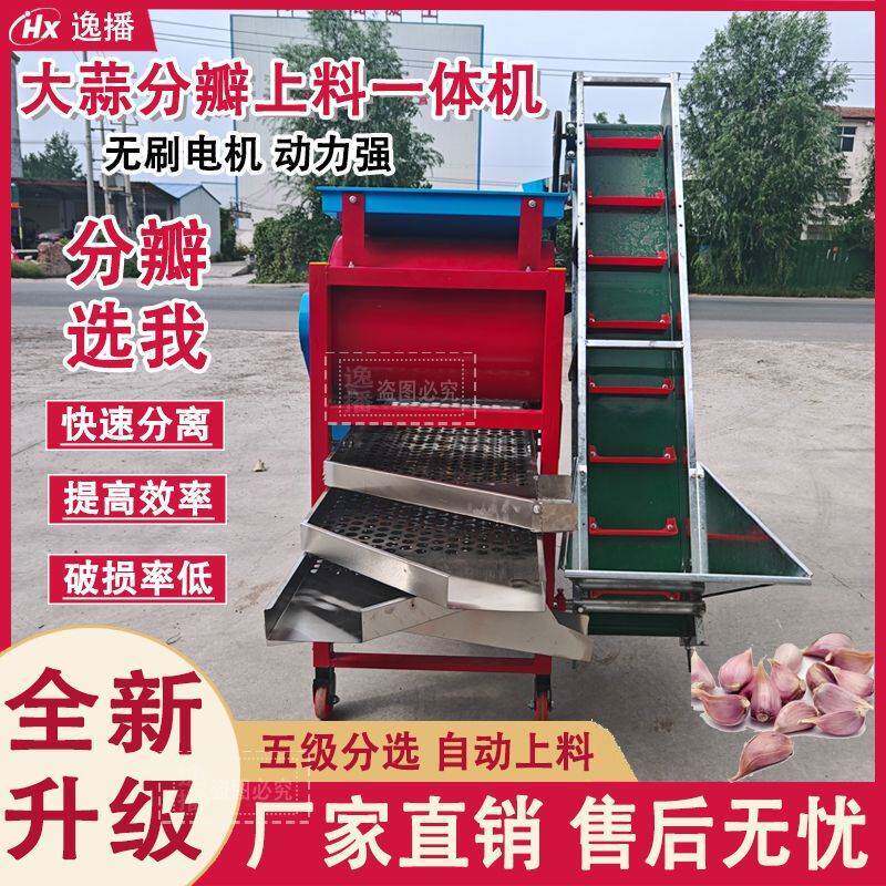 大蒜分瓣筛选一体机全自动蒜种分选机家用掰蒜机大蒜分瓣机工厂