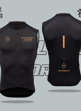 PAS骑行马甲防风防水自行车骑行服外套公路车运动马甲透气速干