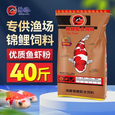 海豚锦鲤饲料大颗粒专用鱼食业者锦鲤鱼粮正品锦鲤鱼饲料育成色扬