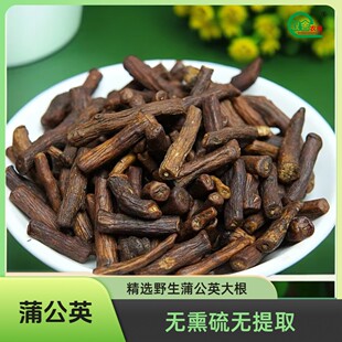 取舍农缘长白山野生蒲公英根婆婆丁大根干货炒制香味浓无熏配当归