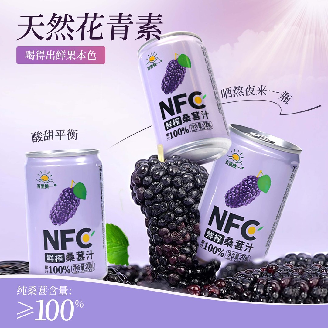 康之味NFC桑葚汁200ML*8罐/箱鲜榨非浓缩100%0添加纯果汁饮品Z 康