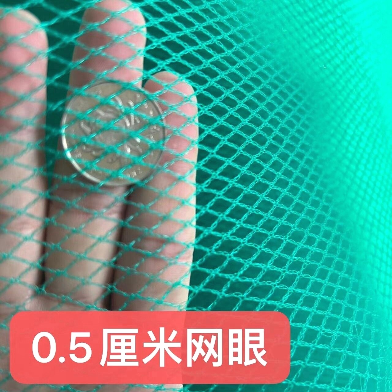 果园防鸟网养鸡水产养殖网拦鱼拉网围栏网天网渔网多功能网